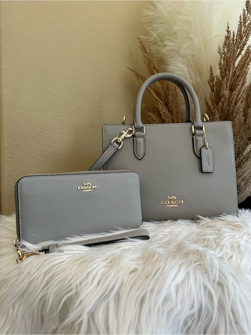 Coach Maggie Small Tote Bag and wallet set - Picture 2 of 16